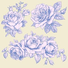 Roses N3