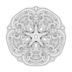 Vector Beautiful Deco Monochrome Contour Star