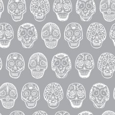 Mexican scull N4