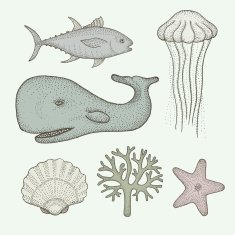 sea life N15