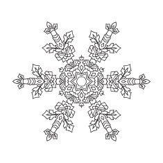 Hand-drawn doodles natural snowflake mandala style N6