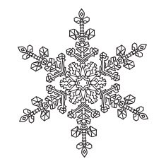 Hand-drawn doodles natural snowflake mandala style N8