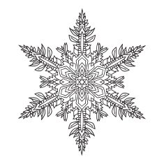 Hand-drawn doodles natural snowflake mandala style N9