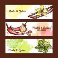 Herbs And Spices Banners