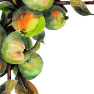 Appletree N5