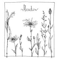 Floral composition N5