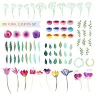 Floral elements N2