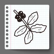 coffee bean fruit doodle N6