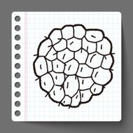 Custard apple doodle N13