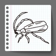 insect doodle N56