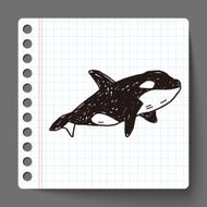 Killer Whale doodle N6