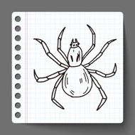 spider doodle N25