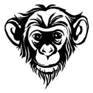 Hand drawn portrait of monkey chimpanzee Black and white N2
