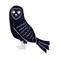 Cartoon Owl N239