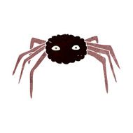 Cartoon Spider N53