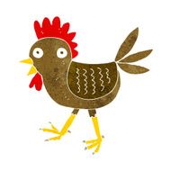 funny cartoon chicken N14