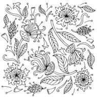 Doodle hand drawn flowers set Vector illustration