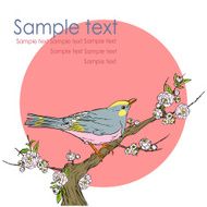 Background with bird and space for text N2