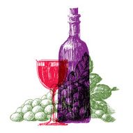 winemaking and vineyard on a white background sketch