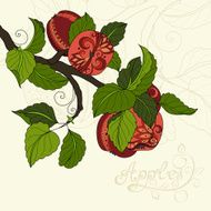Vector Colored Fruit Background