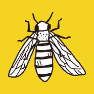 bee doodle N13
