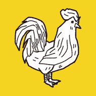 Chicken doodle N31