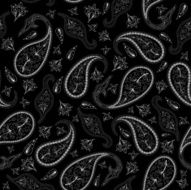 Oriental seamless paisley pattern N2