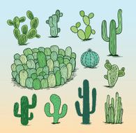 cactus collection Vector illustration N2