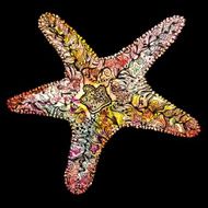 Creative watercolor starfish N2