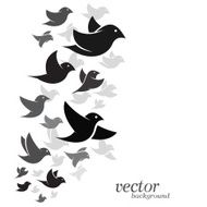Bird design on white background