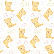 cats N27