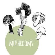 Set with mushrooms N3