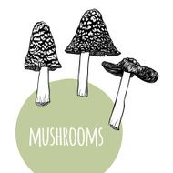 Set with mushrooms N5