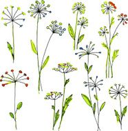 watercolor vector floral set