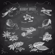 Vector hand drawn set with Dessert Spices