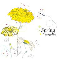Daisy flower doodle greeting card vector