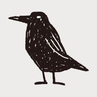 crow doodle N9