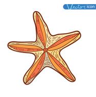 icon Starfishes hand drawn Vector Illustration N6