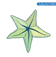 icon Starfishes hand drawn Vector Illustration N9