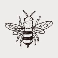 bee doodle N14