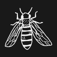 bee doodle N15