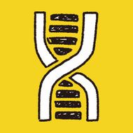 doodle dna N12
