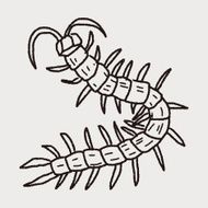 Centipede doodle N7