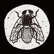 fly bug doodle N14