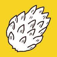 Custard apple doodle N14