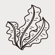 Kelp doodle N12
