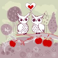 owl couple on apple tree