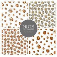hand draw nuts vector set seamless sketch pattern