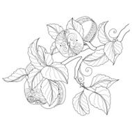 Vector Hand Drawn Decorative Branch of Apple Tree