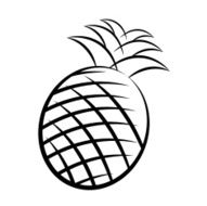 Pineapple N5